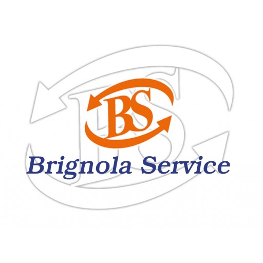 Brignola Service logo