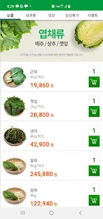 싱싱이음