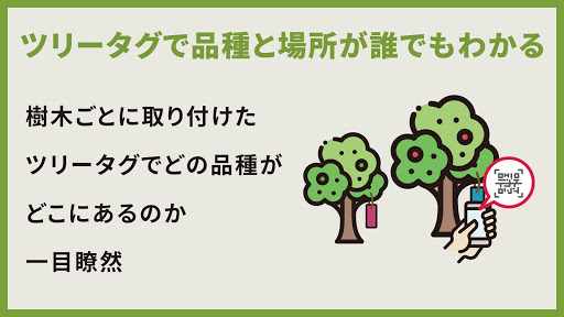 Agrion果樹 Screen 2