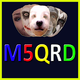 Funny Msqrd me icon