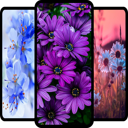 Flower Wallpaper 4K