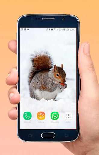 Fondos de Pantalla HD