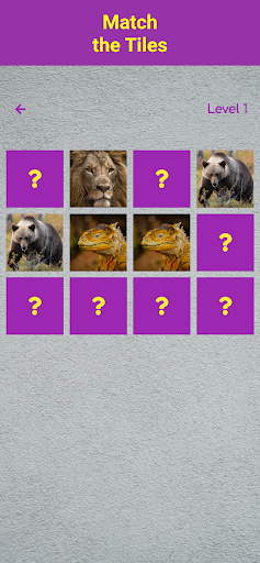 Match N Go Screen 2