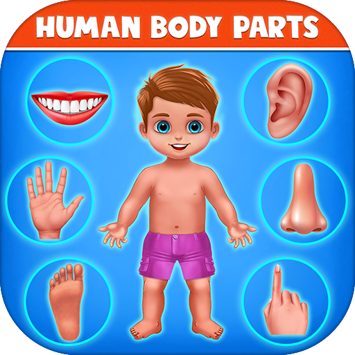 Clip vlinder Berg Vesuvius optioneel Human Body Parts - Preschool Kids Learning - Apps on Google Play