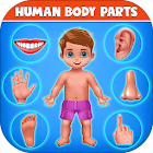 Части человеческого тела - Дошкольное обучение 3.2