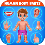 Human Body Parts - Kids Games