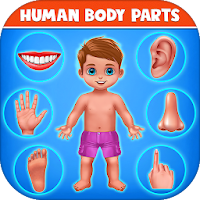 Части человеческого тела - Дошкольное обучение