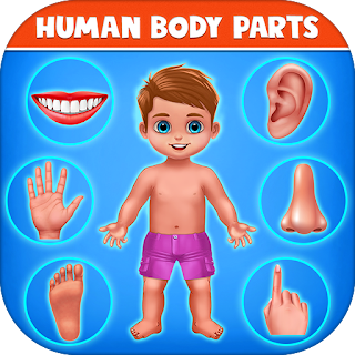 Human Body Parts - Kids Games apk