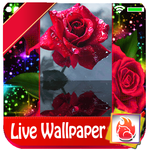 Red rose Live Wallpaper, LWP
