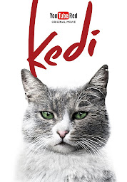 Icon image Kedi