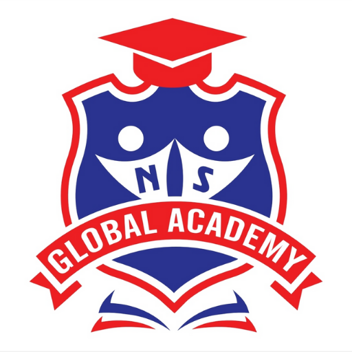 NS GLOBAL ACADEMY logo