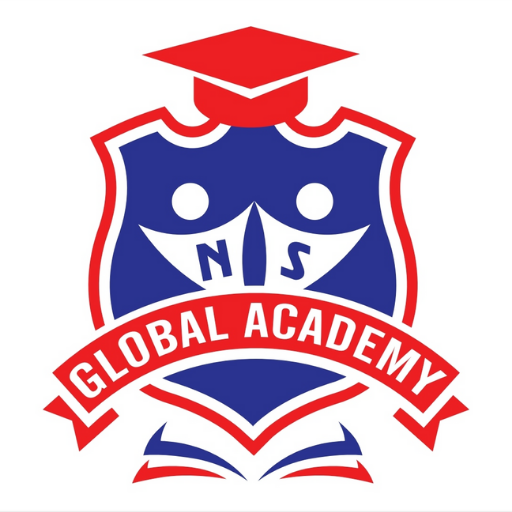 NS GLOBAL ACADEMY