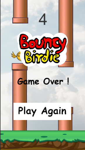 Bouncy Birdie Screen 3