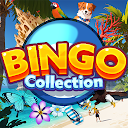 Bingo Collection - Bingo Games 