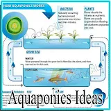 Aquaponics Ideas icon