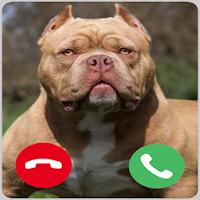 Pitbull Dog Fake Video Call & Wallpaper HD