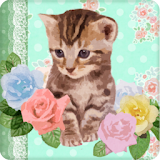 Lovely Cat Live Wallpaper icon