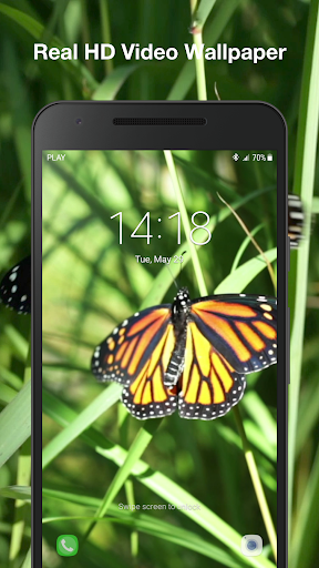 Butterflies Live Wallpaper Pro Screen 3