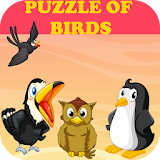 Puzzle of Birds- Logic Game icon