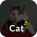 Cat Ringtones – Meow Sounds