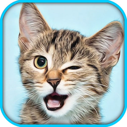 Cat Pet Simulator Online Sim 0.6.5.14 Icon