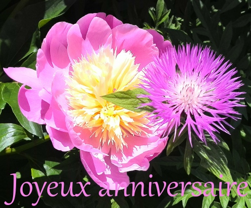 Download Joyeux Anniversaire Free For Android Joyeux Anniversaire Apk Download Steprimo Com