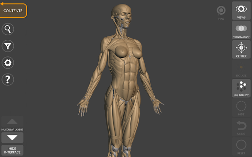 Screenshot of 3D Anatomy for the Artist
