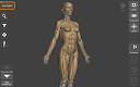 screenshot of 3D Anatomy for the Artist