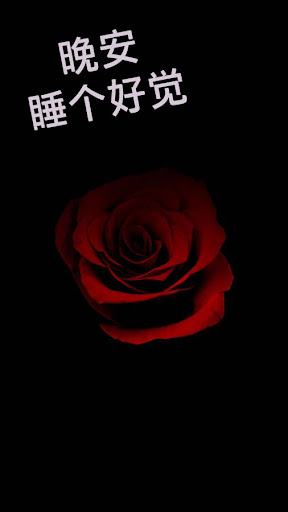 晚安 GIF 2023 Screen 2