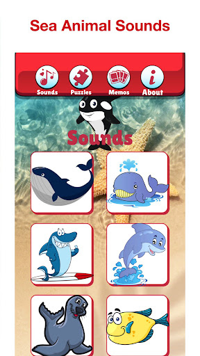 Angry Shark: Sea Animal Games Screen 2