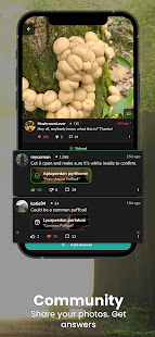 ShroomID - Mushroom Identifier android2mod screenshots 13