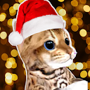 Kitty Cat 1.25 APK Download