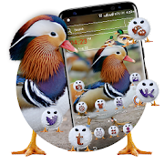 Top 32 Personalization Apps Like Mandarin Duck Launcher Theme - Best Alternatives