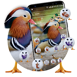 Image de l'icône Mandarin Duck Launcher Theme