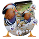 Mandarin Duck Launcher Theme - Androidアプリ