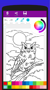 Colorful Birds Coloring Book