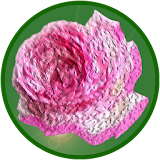 The Name of the Rose Quiz icon