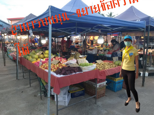แอปเปลี่ยนพื้นหลังโปร Screen 3