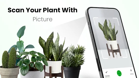 Plant Scan - Plant Identifier