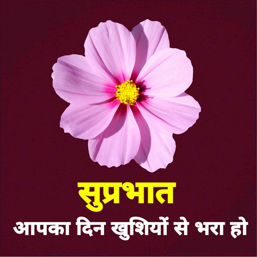 Moringo :Good Morning Pictures logo