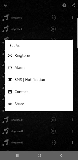 iPhone Ringtone & notification Screen 3
