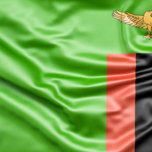 Watchdog Zambia - Latest news  1.2 Icon