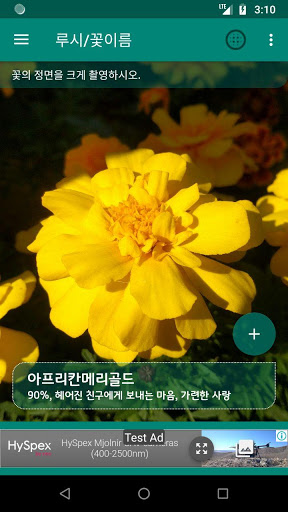 루시 Screen 2