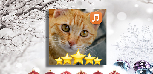 Suara Kucing Mengeong Screen 2