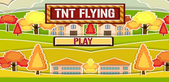 TNT Flying