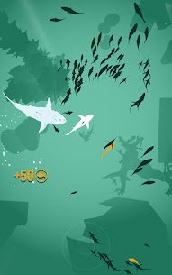 Shoal of fish 1