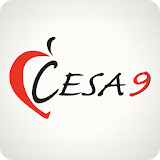 CESA 9 icon