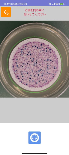 E. coli Colony Counter Screen 2