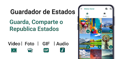 Imagen de la captura de pantalla