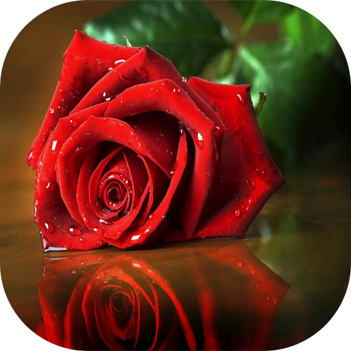 com.paradis.khalfiat.massaa Unduh di Windows